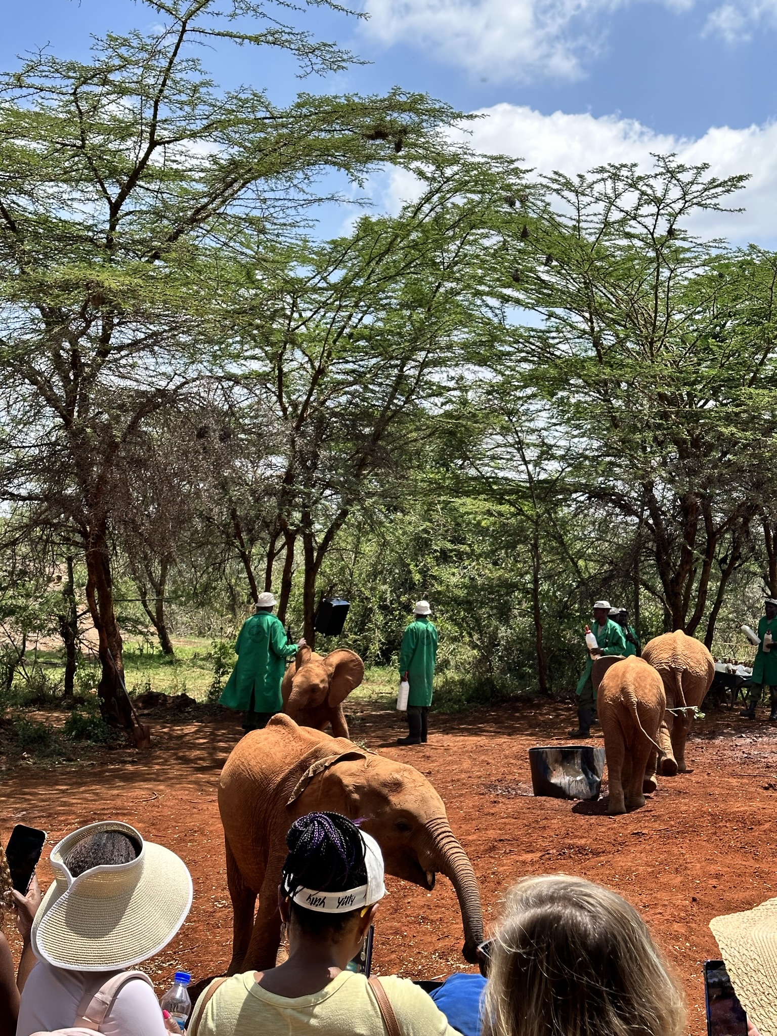 14-Day Kenya Wildlife & Diani Beach Safari, photo 2