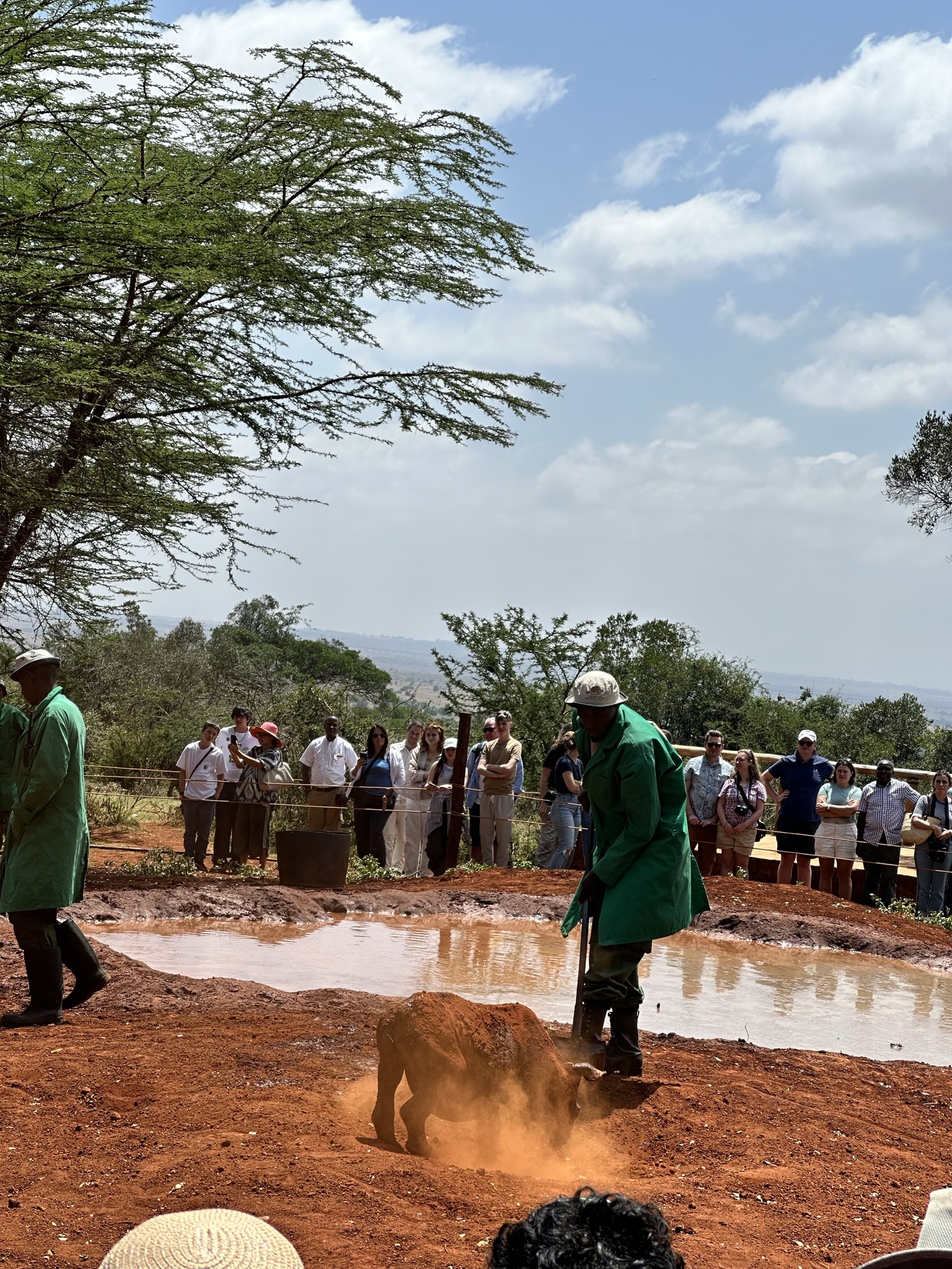 16 Days of Kenya Safari, photography