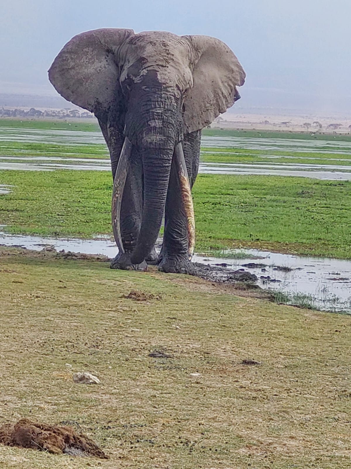 12 Days Rwanda and Kenya Safari — photo 3
