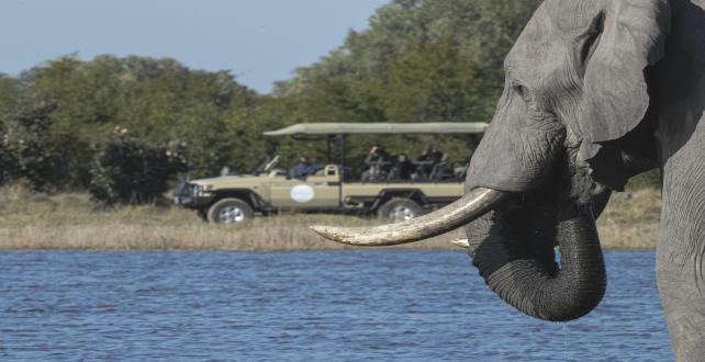 Chobe National Park