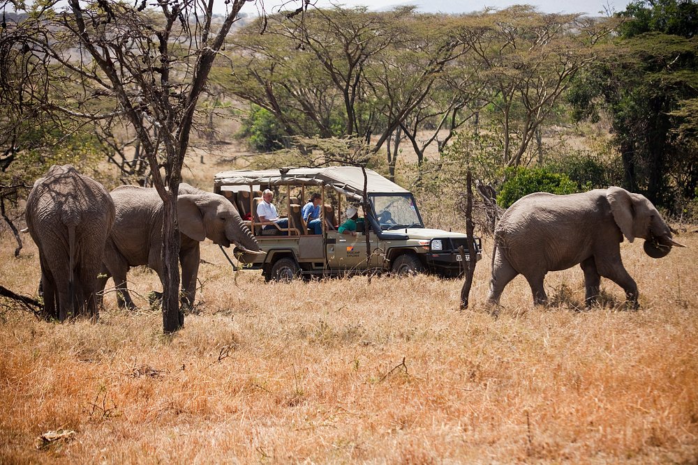 Amboseli, Naivasha & Maasai Mara Safari