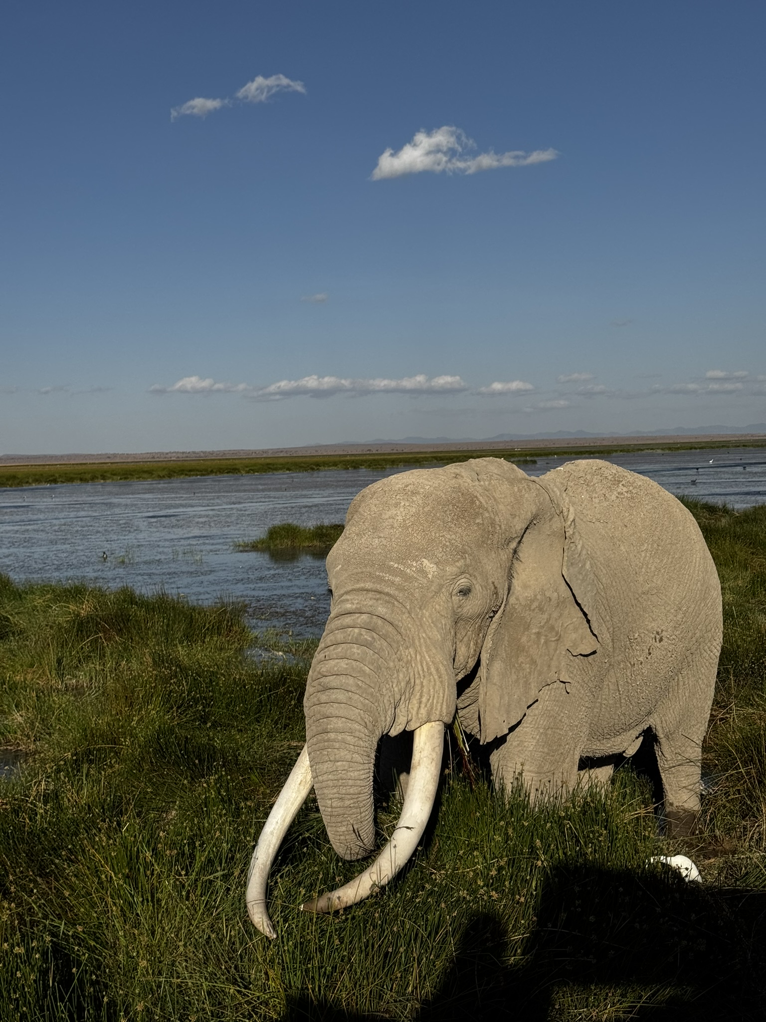 3 Days Akagera National Park Safari