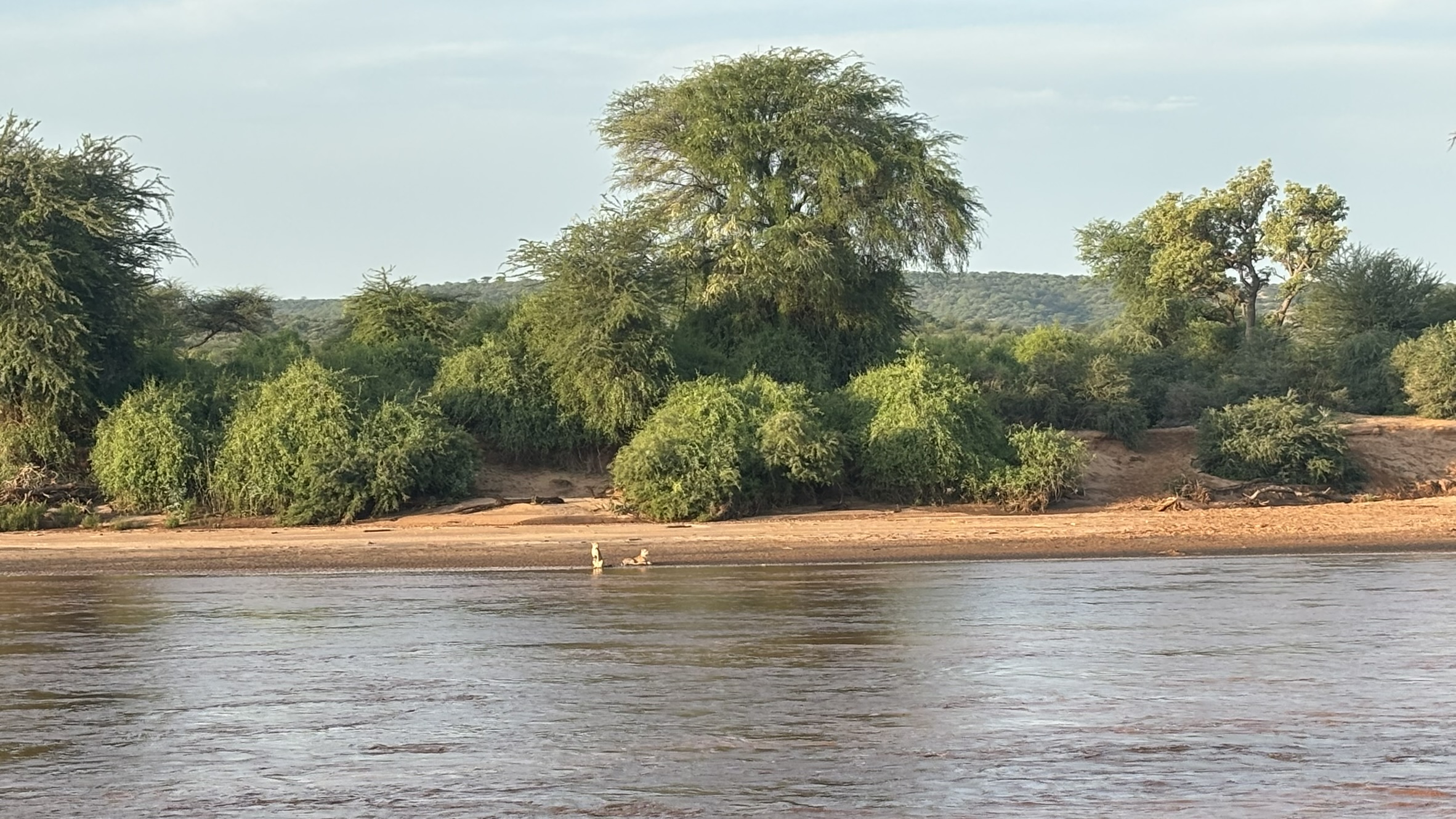 Kenya & Uganda Luxury Safari
