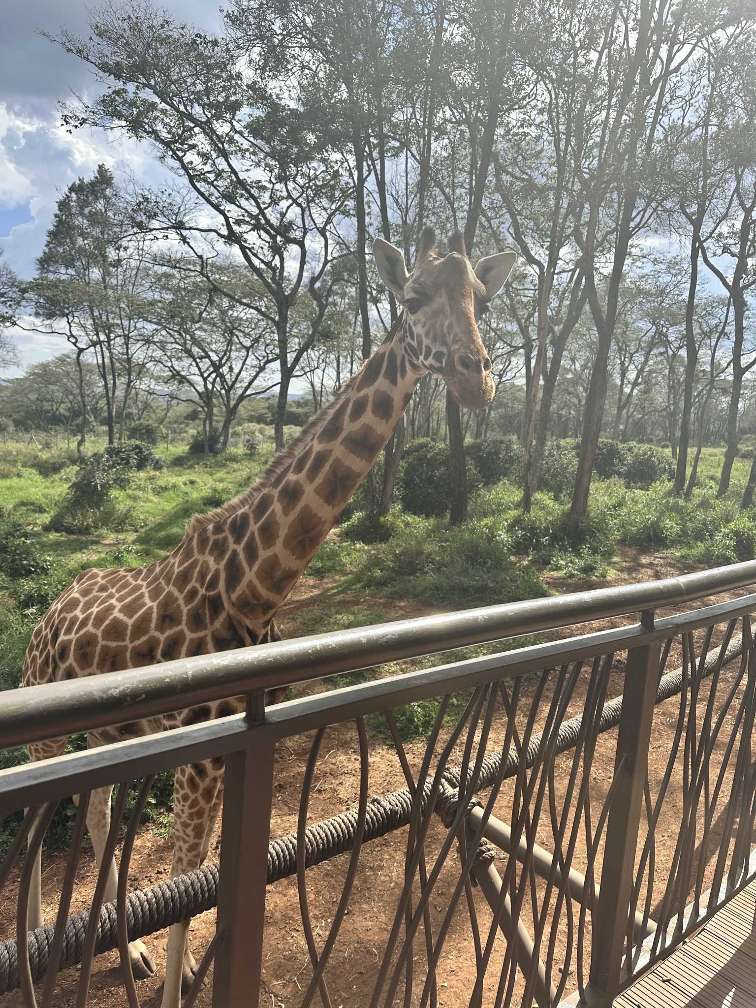 10 Days Kenya Private Safari, photography