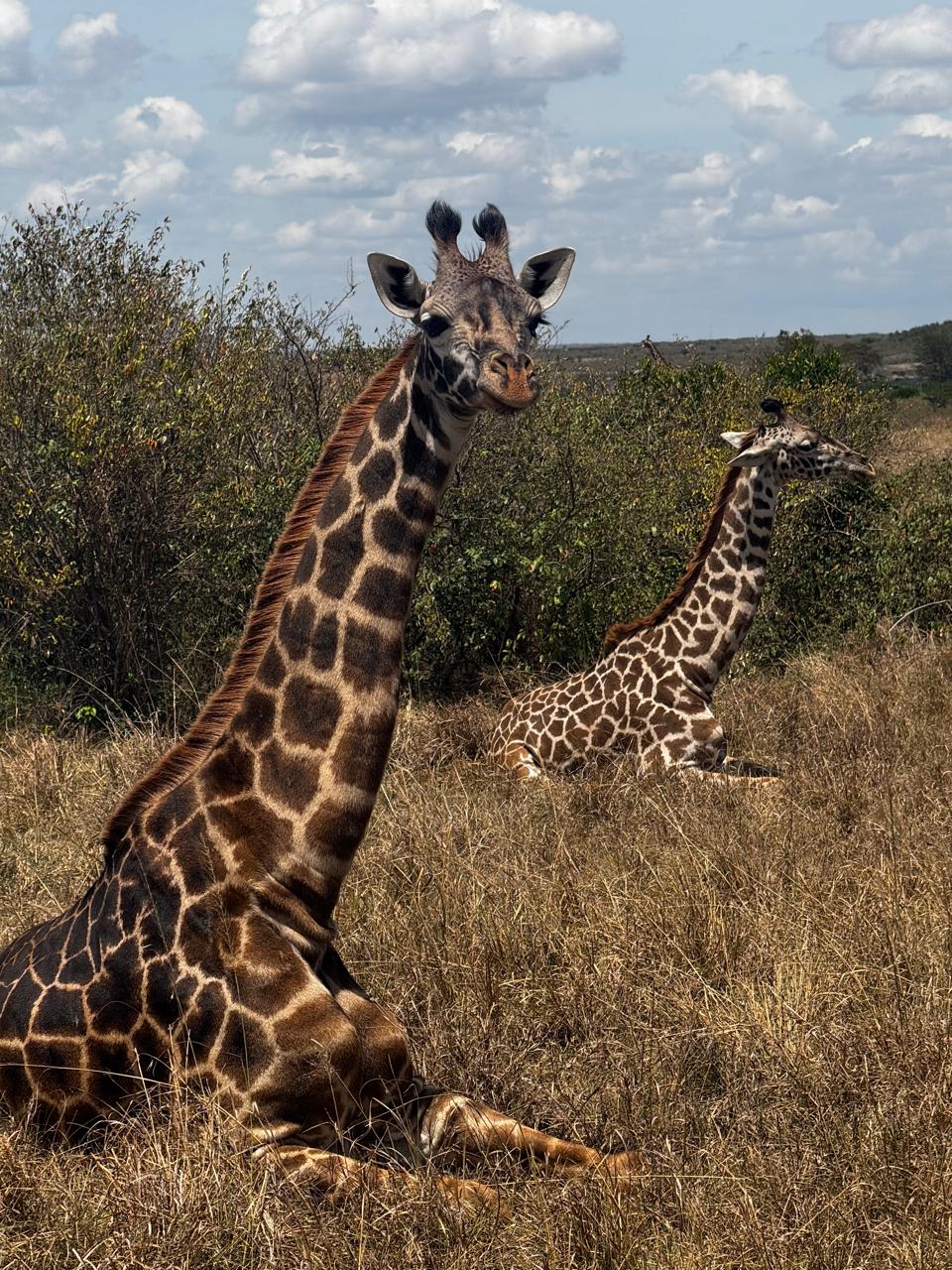 3 Days Akagera National Park Safari — photo 5