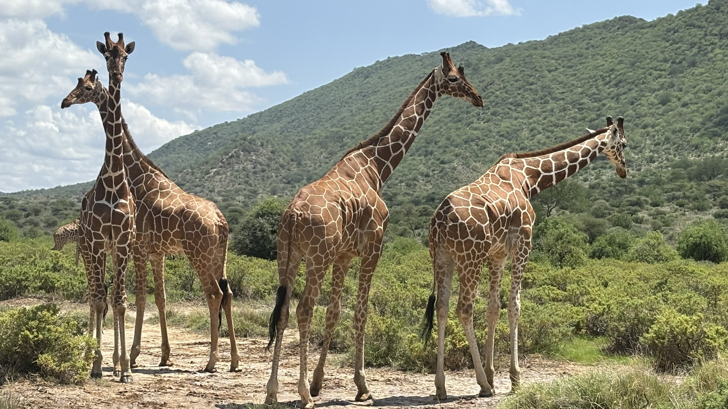 11 Days Nakuru, Maasai Mara, Serengeti & Tarangire Safari