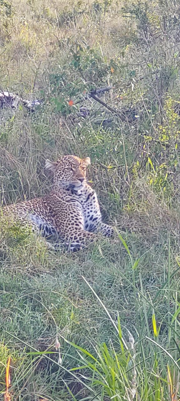 7-Day Maasai Mara Safari, photo 7