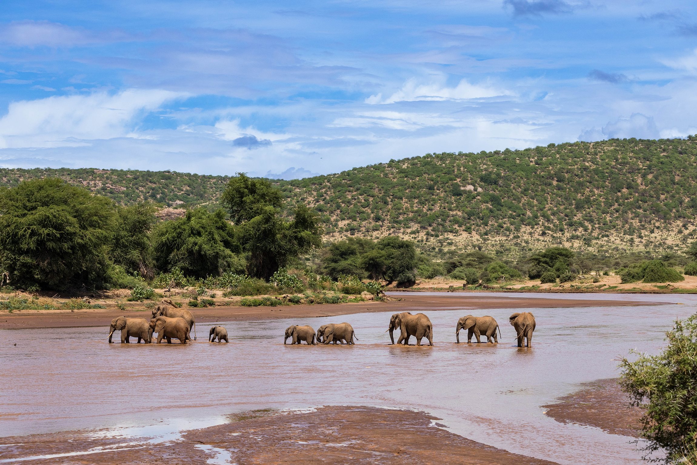 Basecamp Samburu view 4