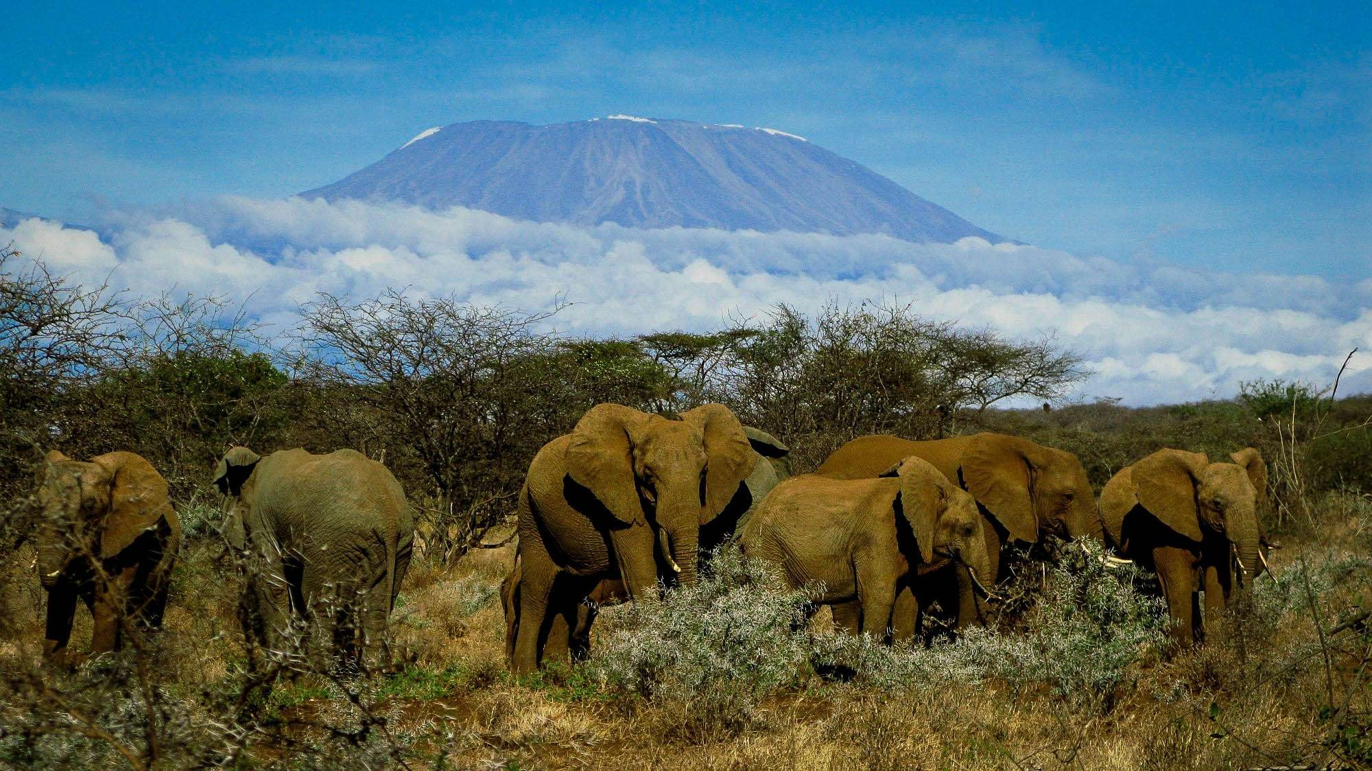 Chyulu Wilderness Camp view 4