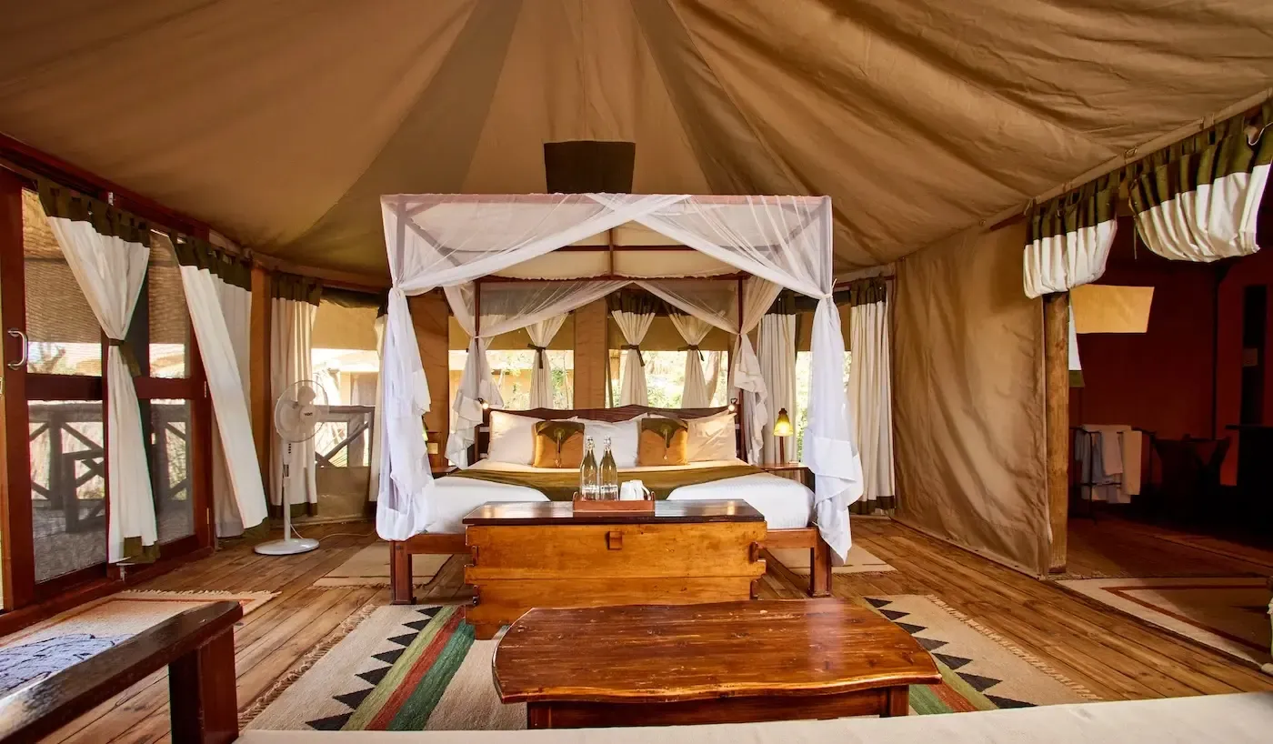 Elephant Bedroom Camp view 3