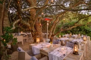 Grootbos Private Nature Reserve view 4