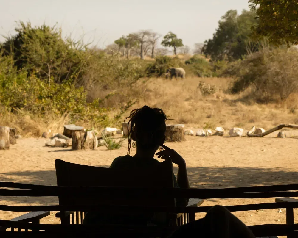 Kigelia Ruaha view 4
