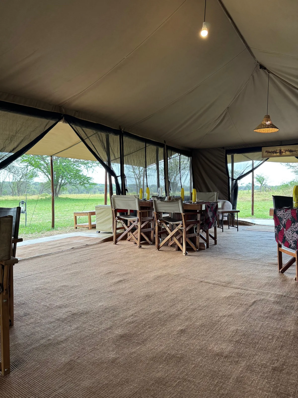 Mara Under Canvas view 4