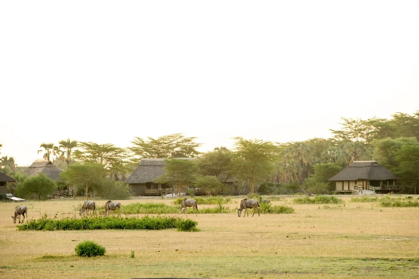Maramboi Tented Lodge exterior