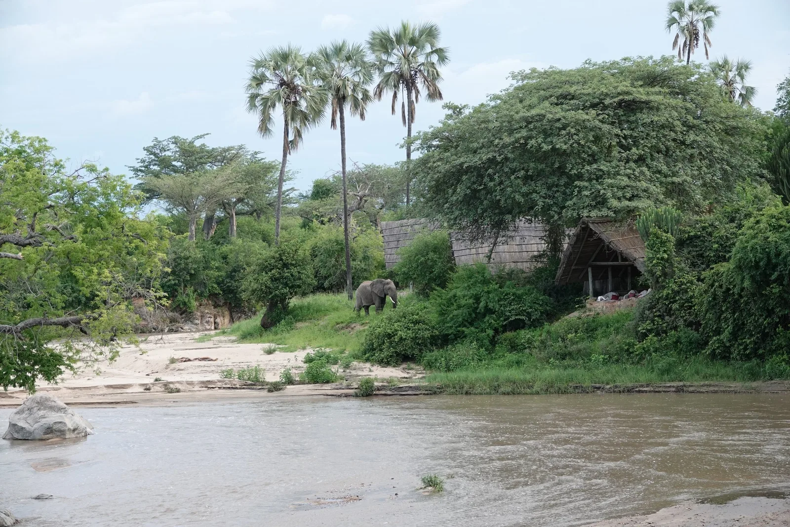 Mwagusi Safari Camp exterior