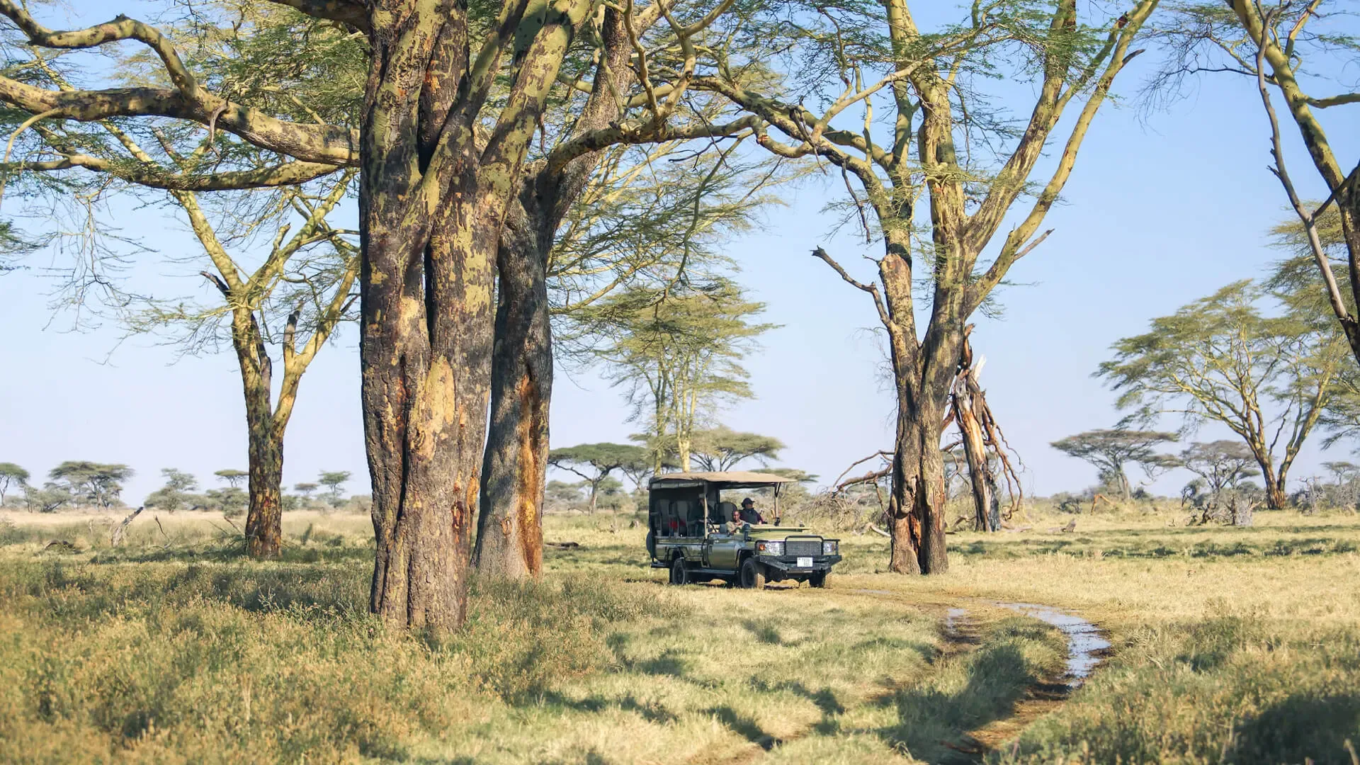 Namiri Plains Camp view 4
