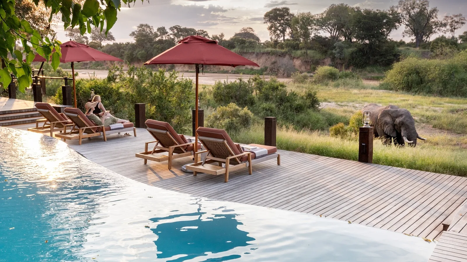 Ngala Tented Camp view 2