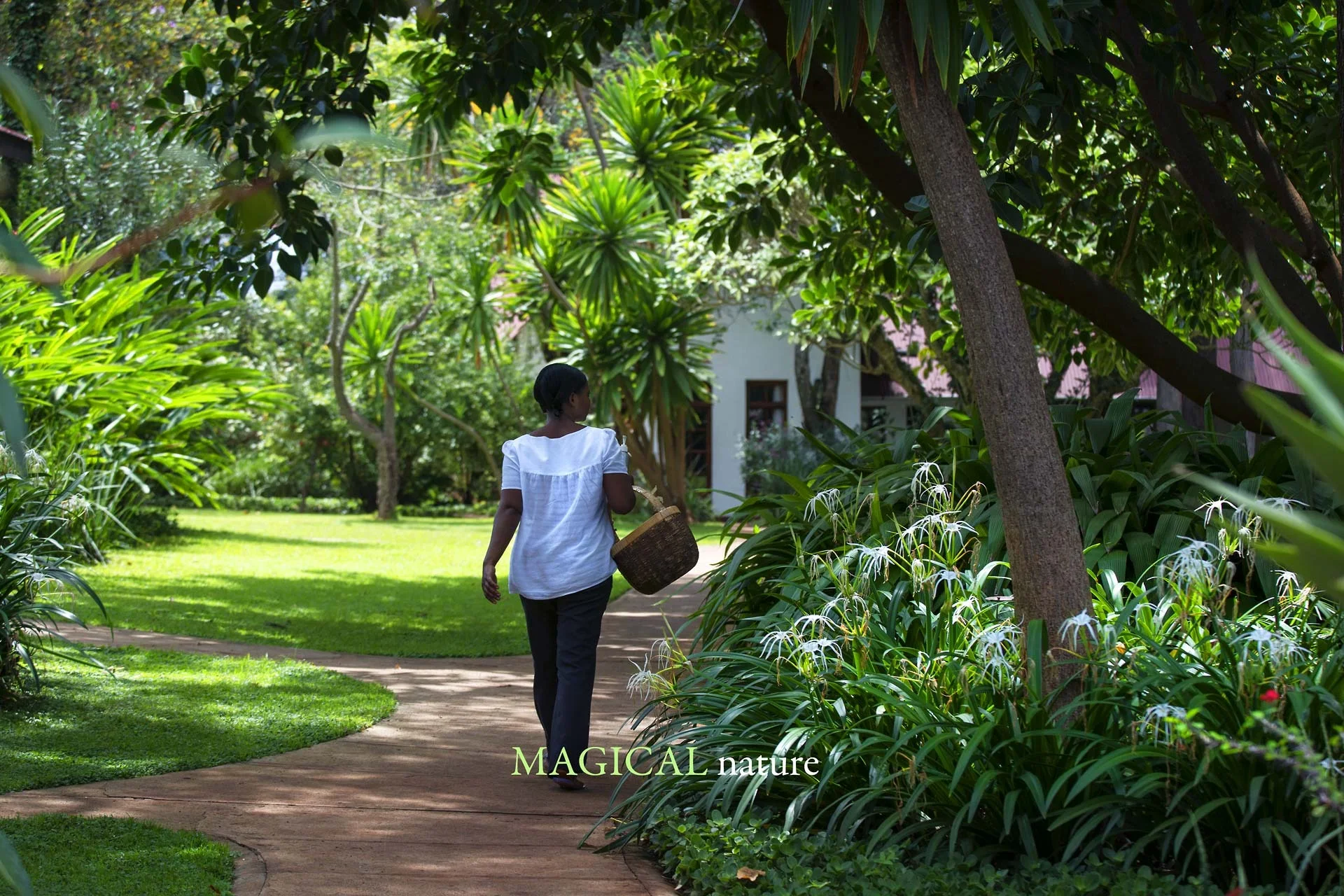 Plantation Lodge