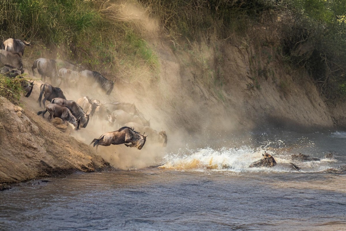 Sarova Mara Game Camp view 2