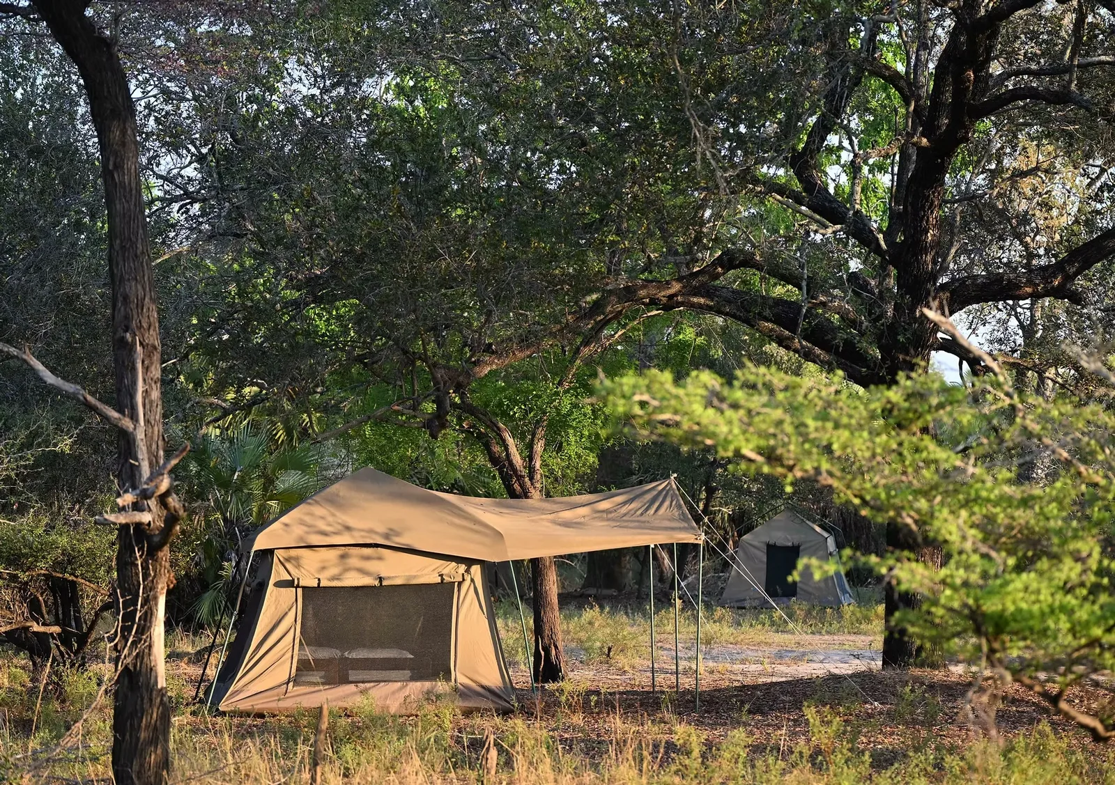 Selous Impala Camp view 4