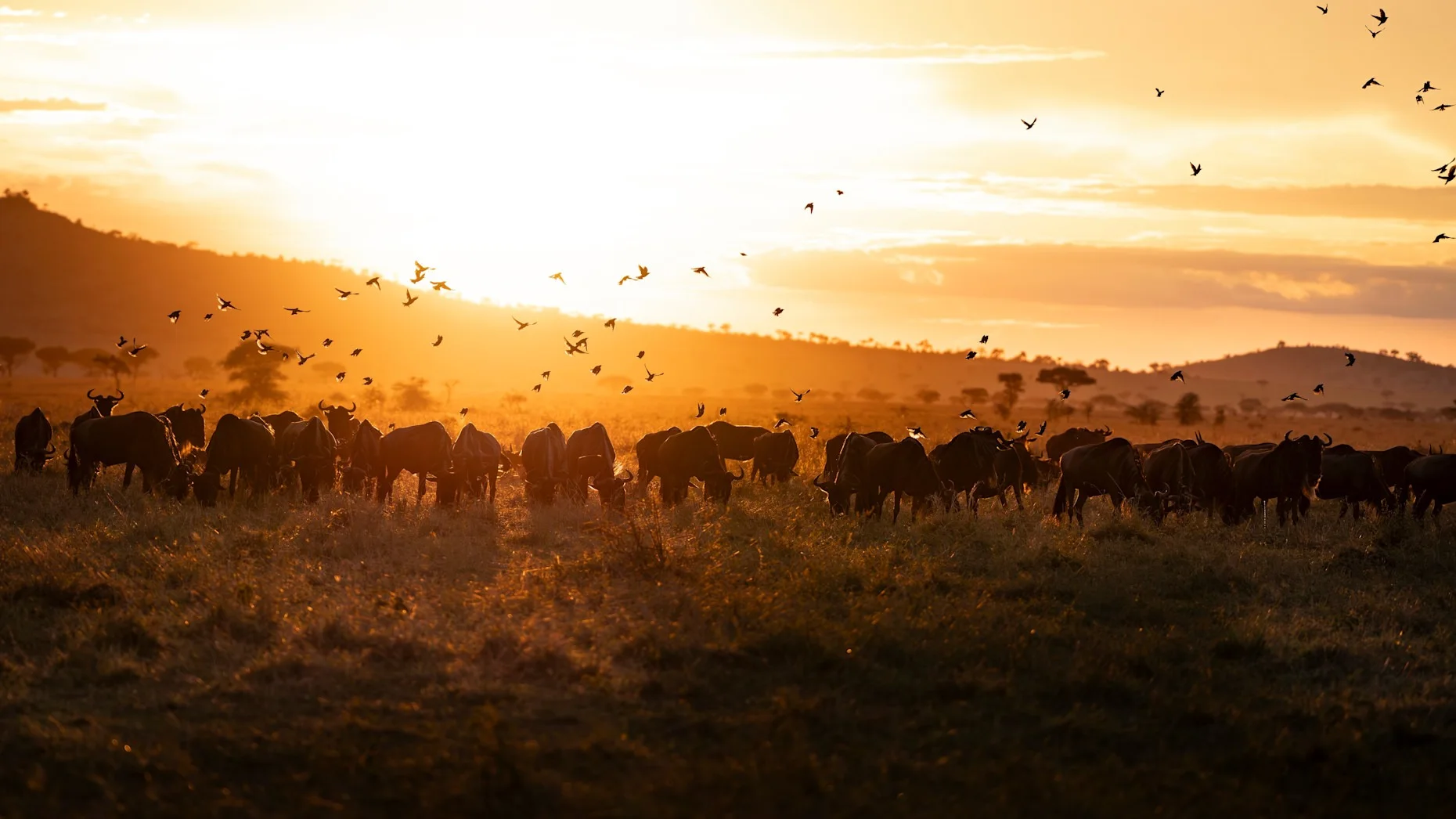 Singita Mara River Camp view 4