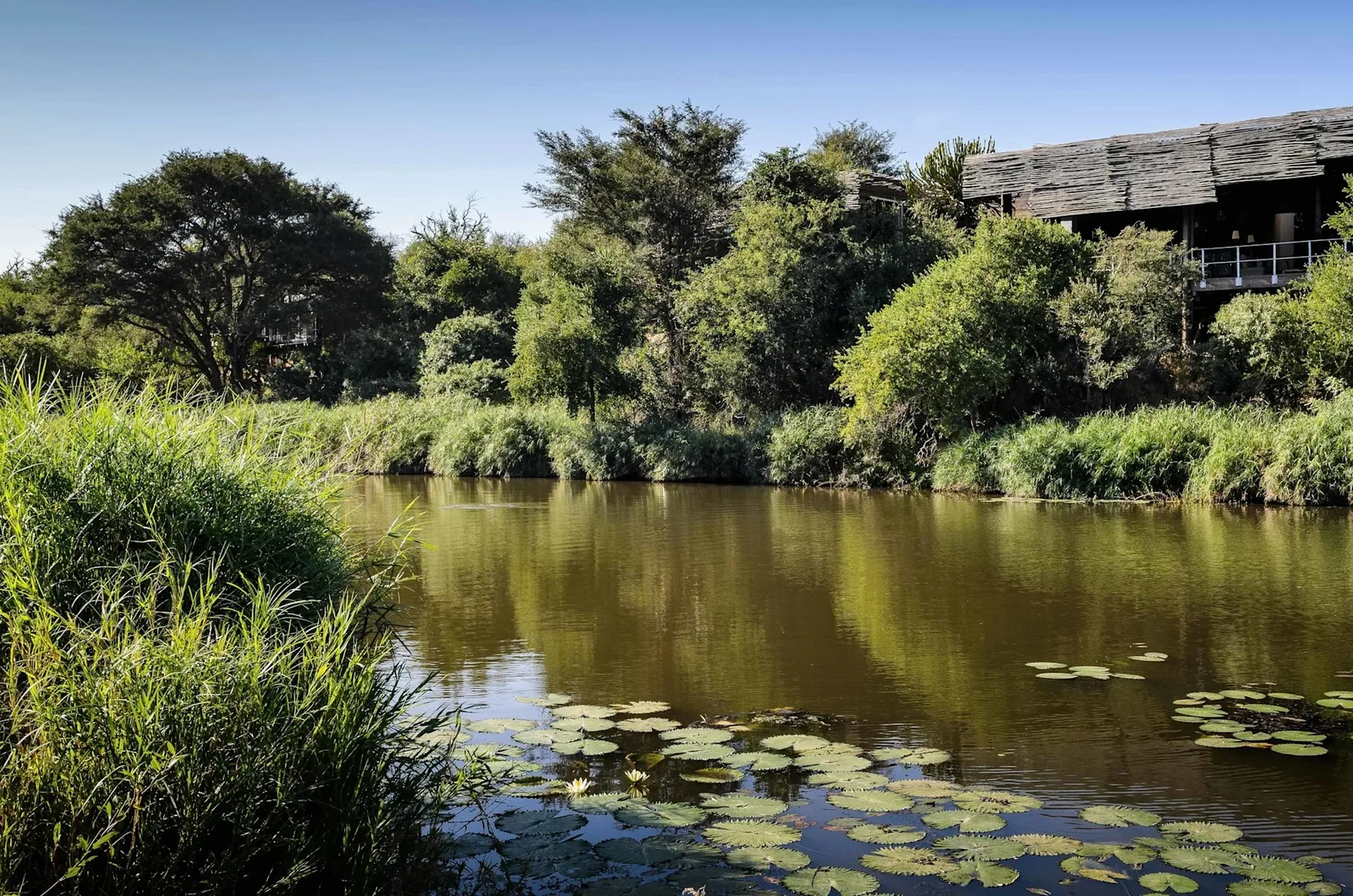Singita Sweni Lodge
