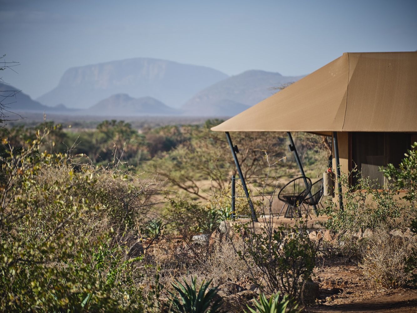 Surana Buffalo Springs Camp view 2