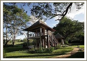Umani Springs Camp view 3