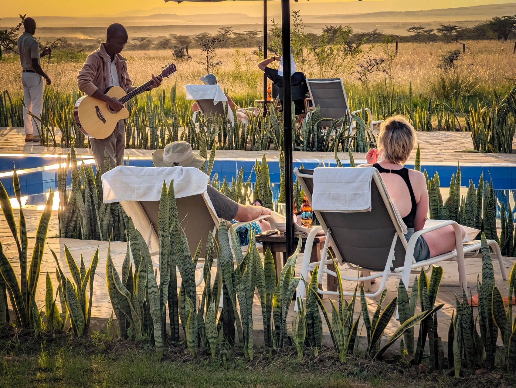 Zebra Plains Mara Camp view 2