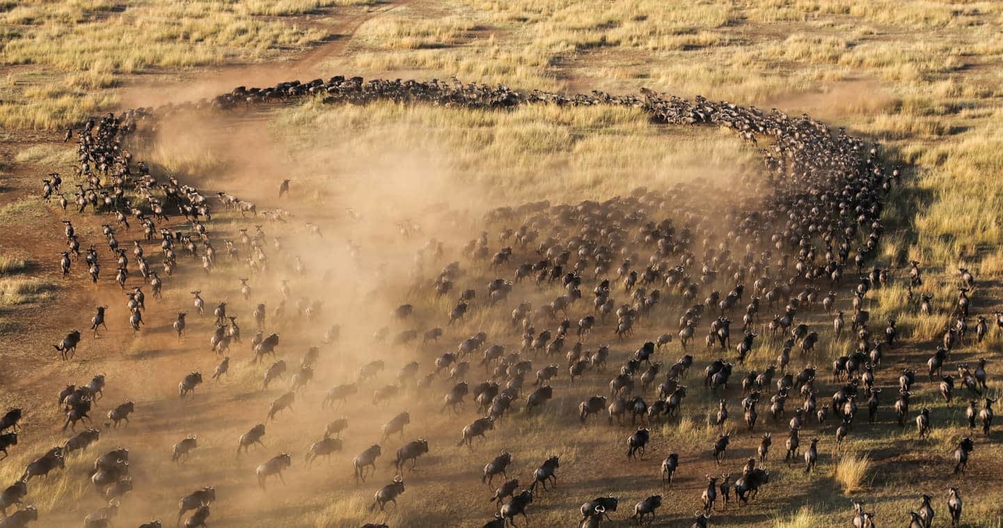 7-Day Maasai Mara Safari, photo 3