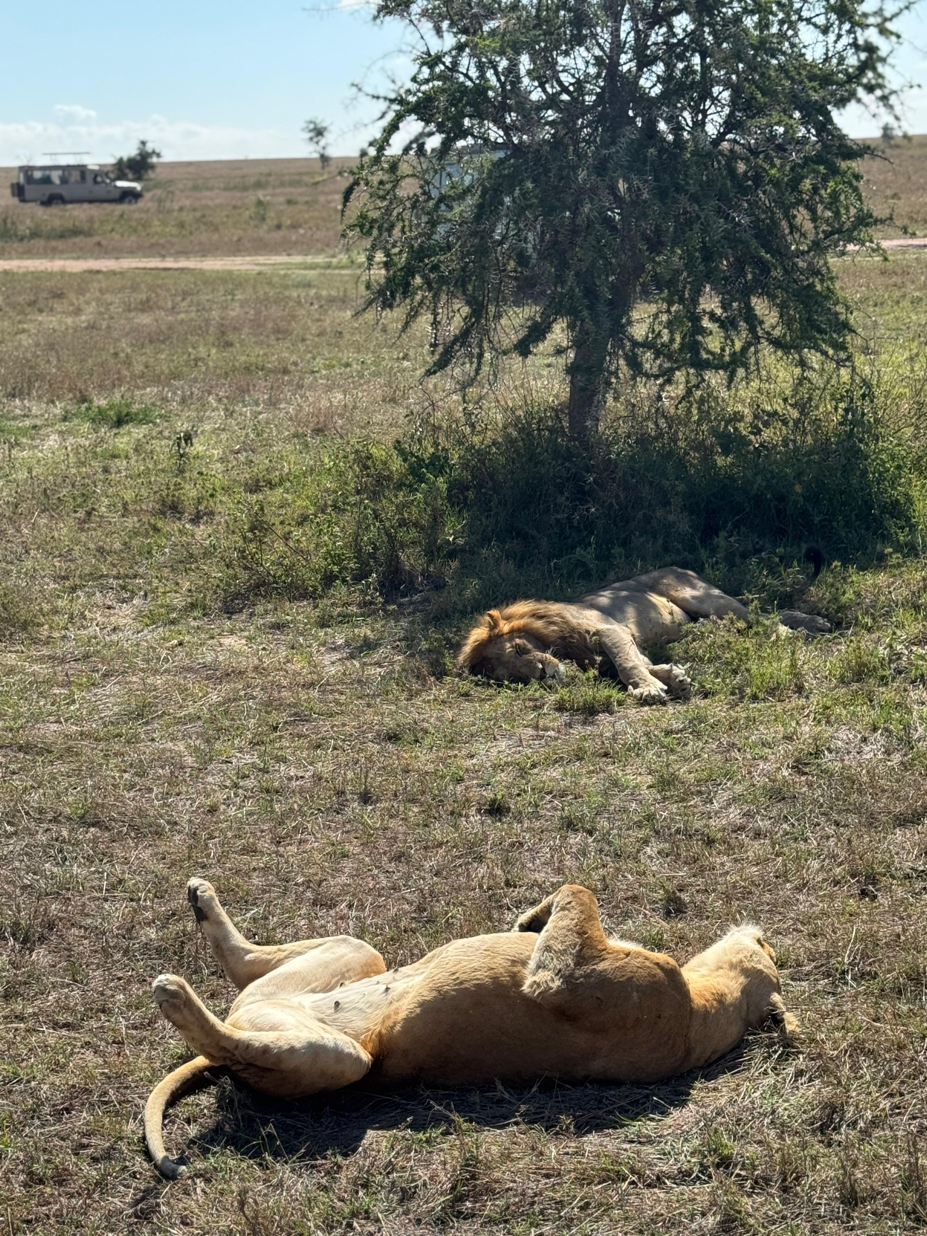 12 Days Rwanda and Kenya Safari — photo 5