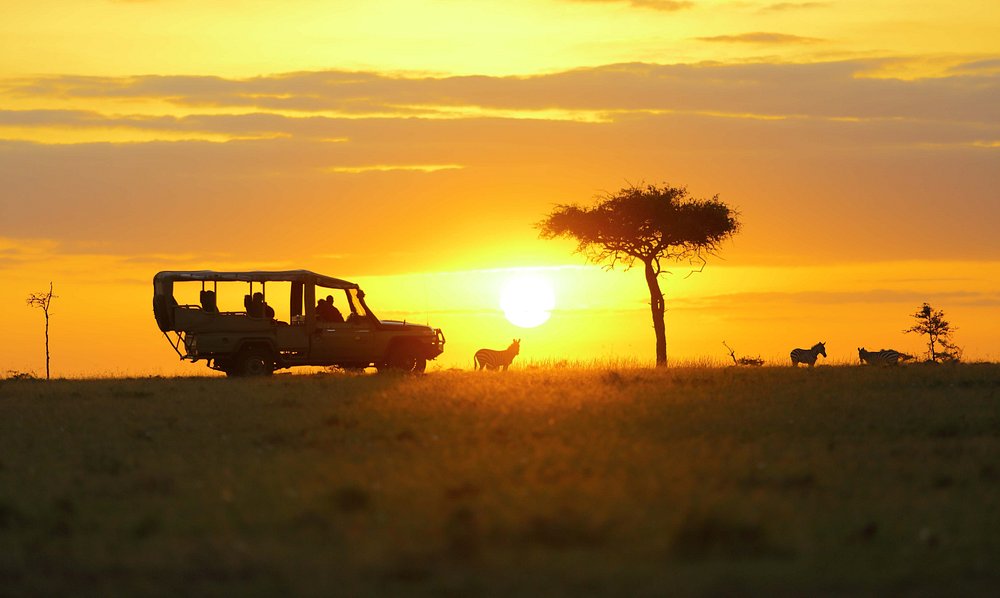 12 Days Rwanda and Kenya Safari — photo 4