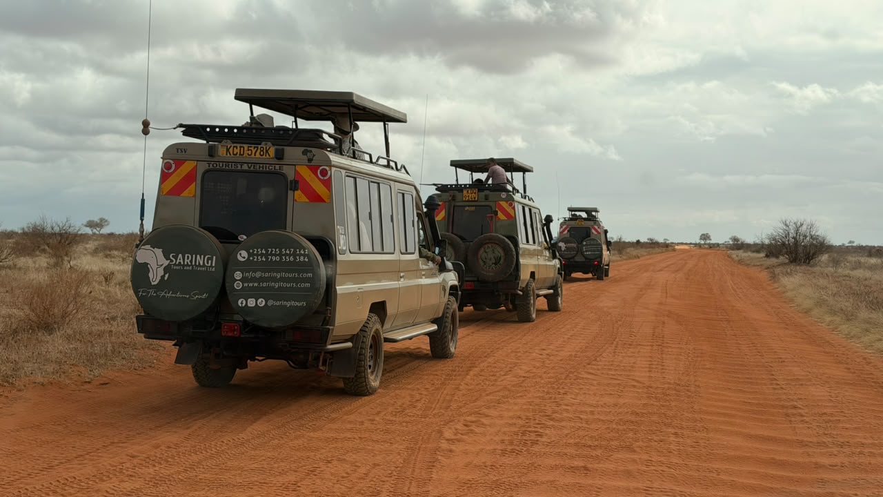 Three Saringi Tours safari vehicles travelling along a red-earth track