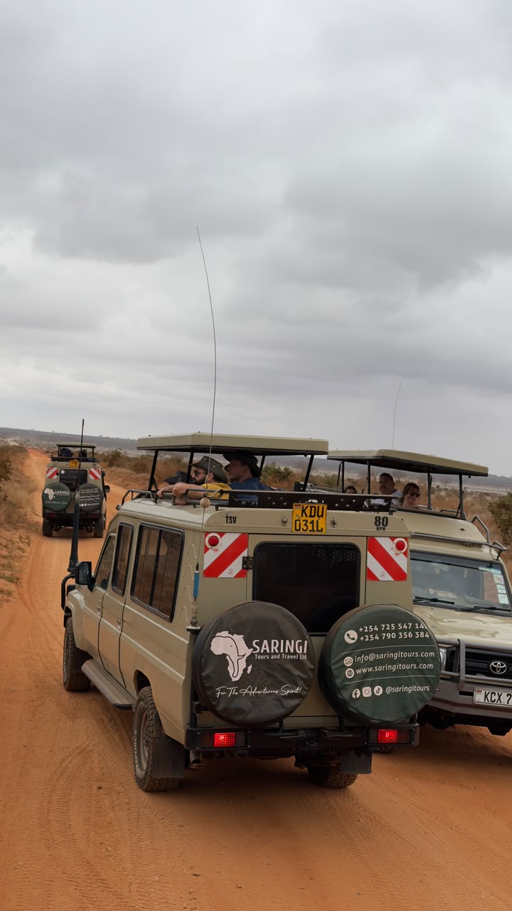 6 Days of Amboseli, Tsavo West, and Tsavo East, photo 6