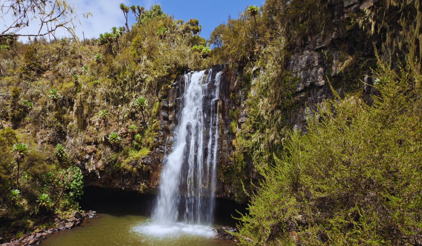 Aberdare National Park