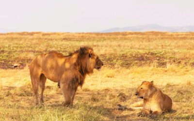 Serengeti National Park